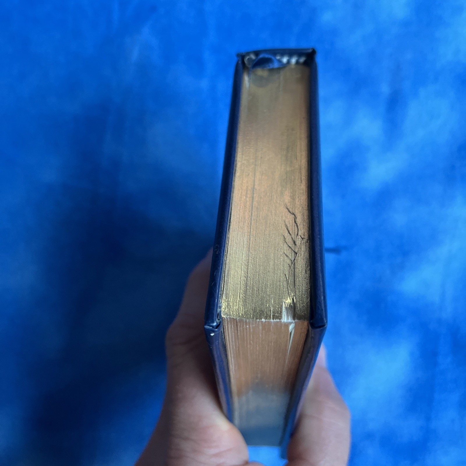 PEACE LAGOON Sacred Songs 6th Edition Compact Sikh Dharma Gold Glided pages