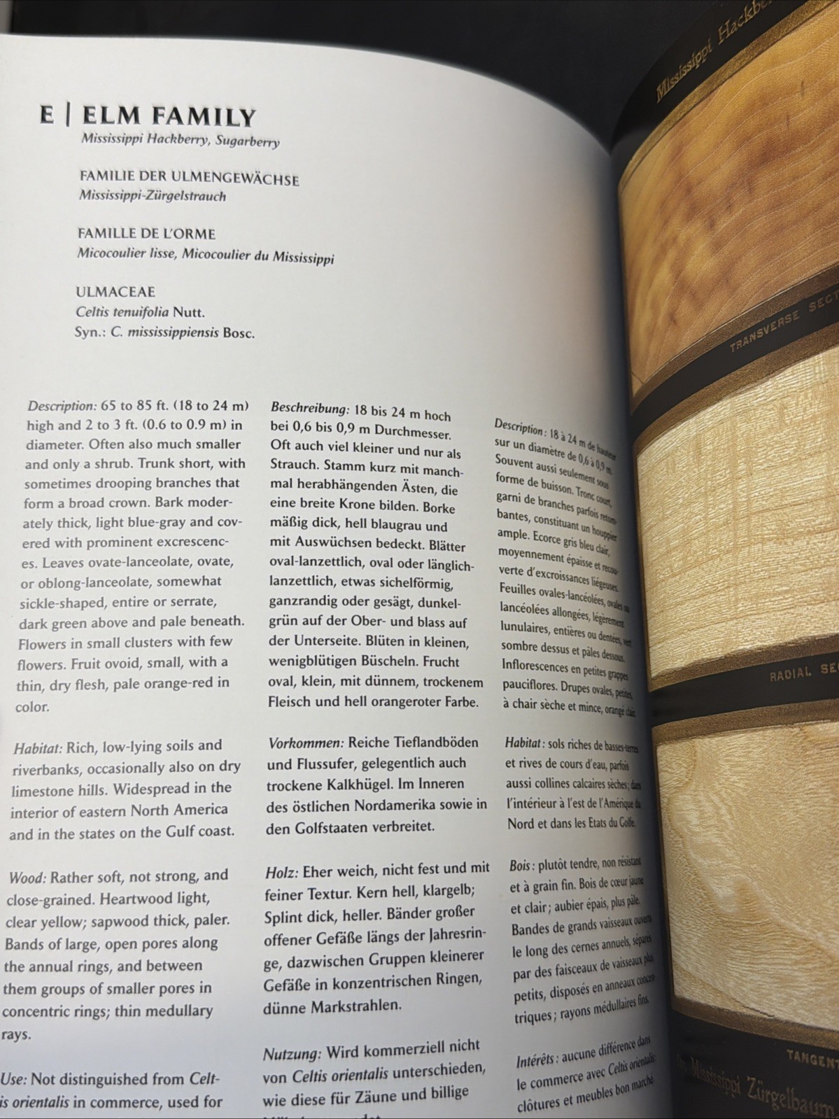 The Woodbook Complete Plates Taschen Wood Samples Book