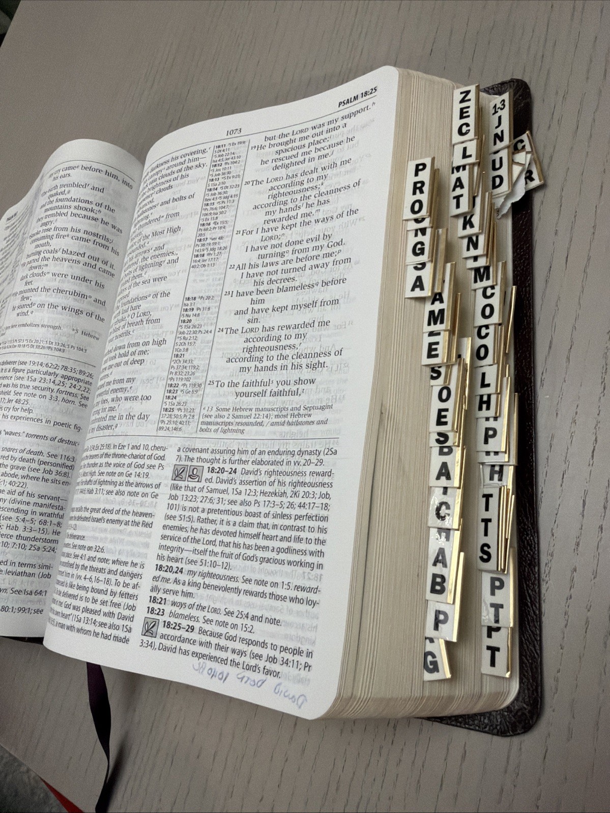 NIV Study Bible by Zondervan Staff 2000 bonded leather