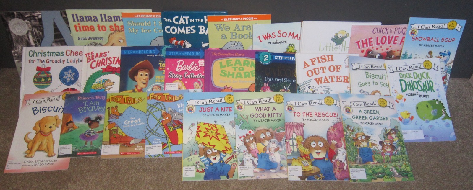 30 AR Accelerated Reader Titles – Reading Levels .9 – 2.1 Labeled & Ready!