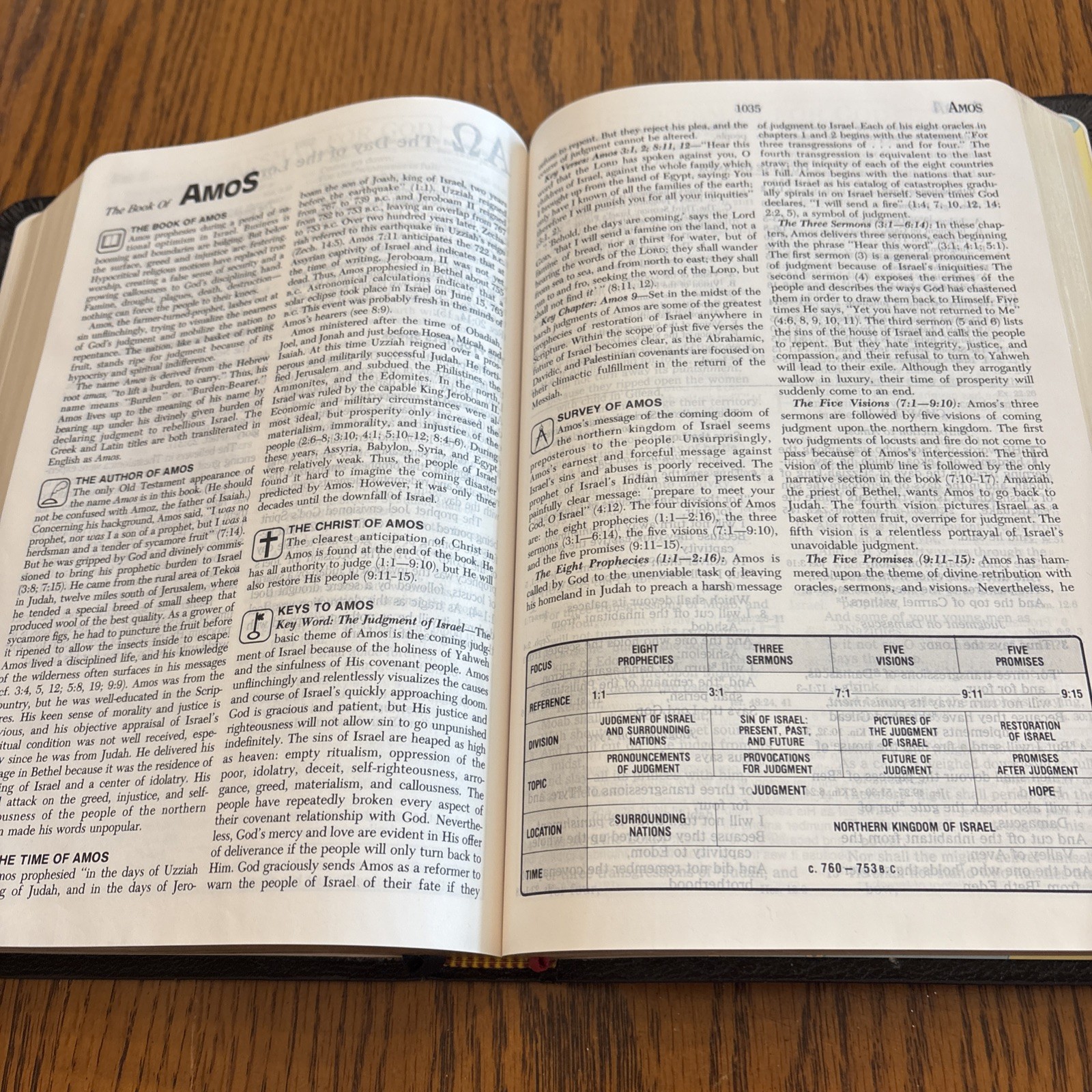 Prophecy Study Bible By John Hagee NKJV