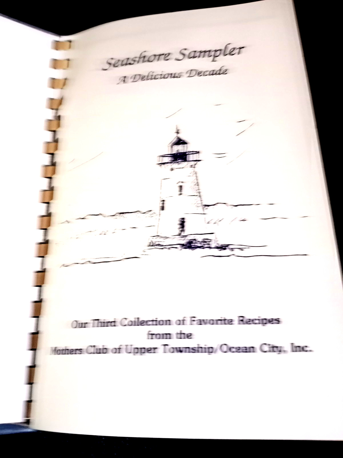 Vtg Seashore Sampler, A Delicipus Decade Cookbook 504 Pages