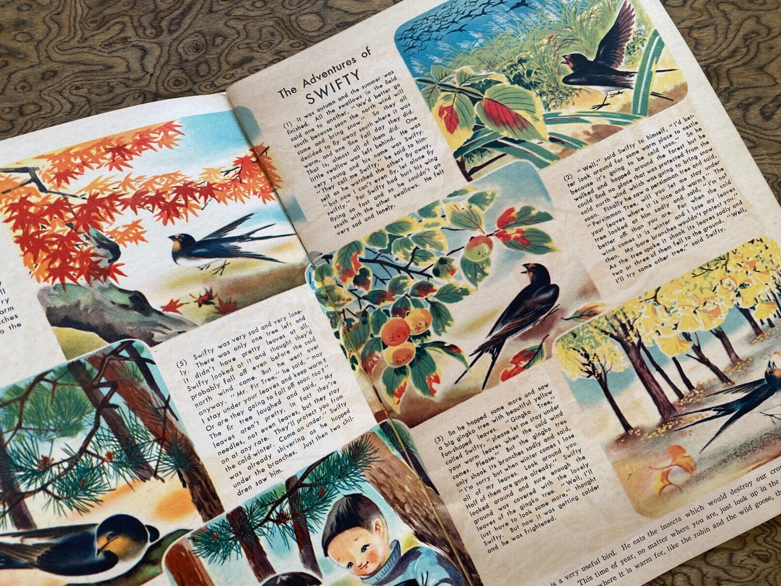 Japanese Language & Picture Book 12 Pages Color 1950s