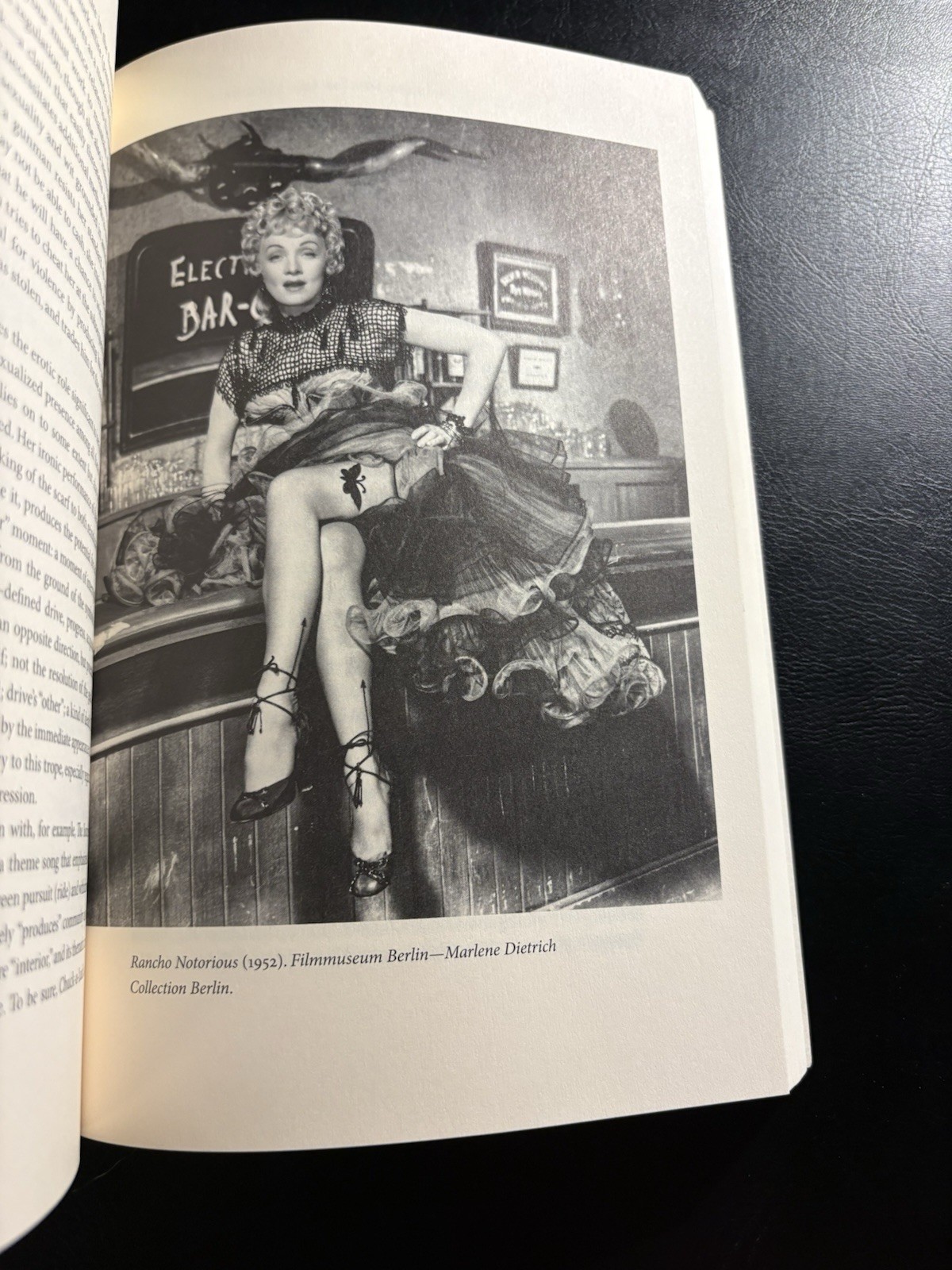 Dietrich Icon Marlene Dietrich Film Studies Duke University Press 2007 Queer
