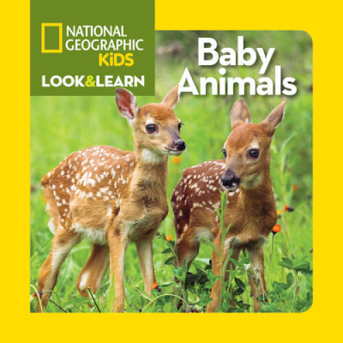 National Geographic Kids Look and Learn: Baby Animals (Look & Learn) – VERY GOOD
