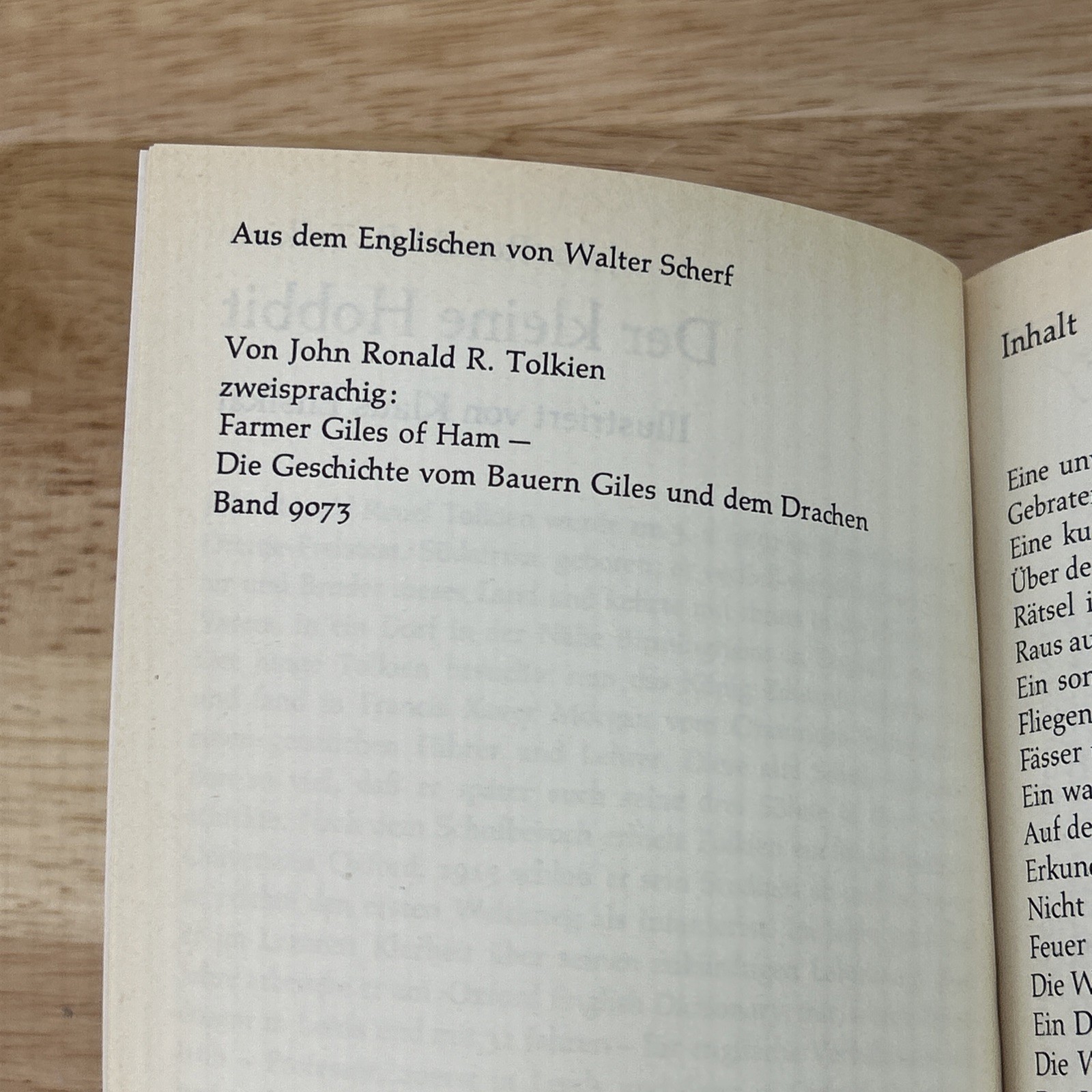 Der kleine Hobbit J. R. R. Tolkien DTV Taschenbuch 1974 German Print Vintage