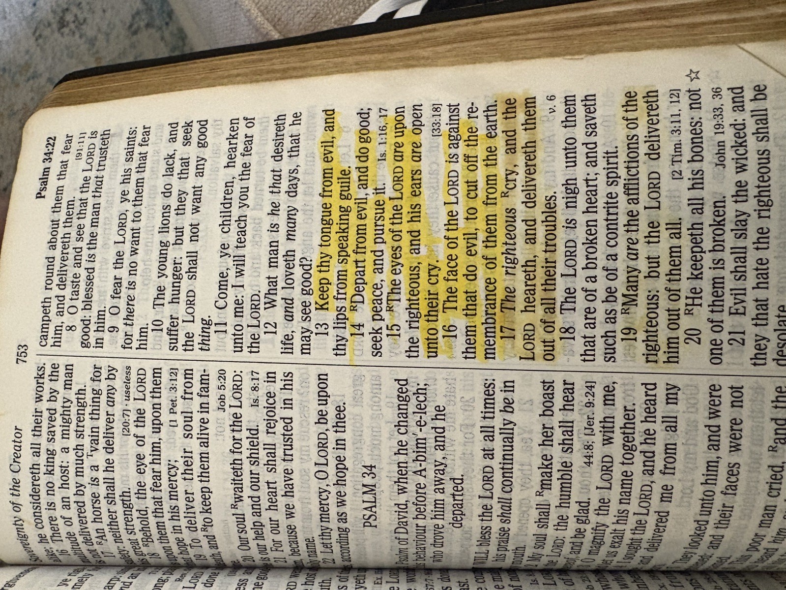 Nelson Regency Holy Bible King James Version Giant Print Red Letter 883C