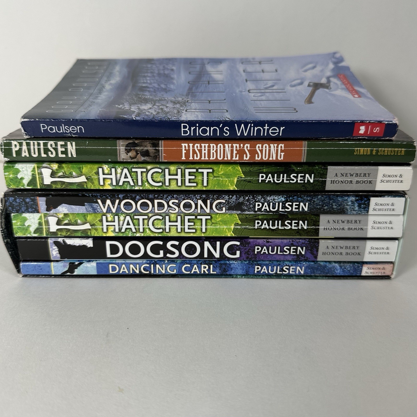 Lot of 7 Gary Paulsen Books, Hatchet, Brian’s Winter, DogSong, WoodSong, Good