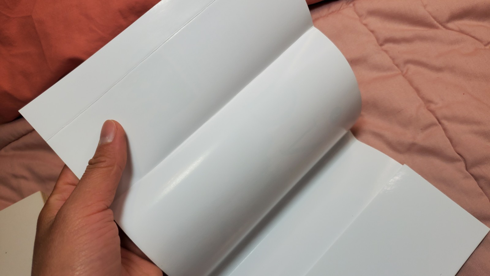 Foreign language: French, D.N.A. #5 Masakazu Katsura, mmpb, graphic, Mint-, 2008