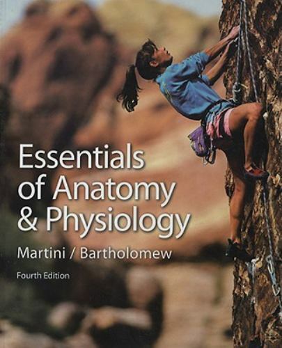 Essentials of Anatomy And Physiology by Martini, Ric,Bartholomew, Ed, Acceptable