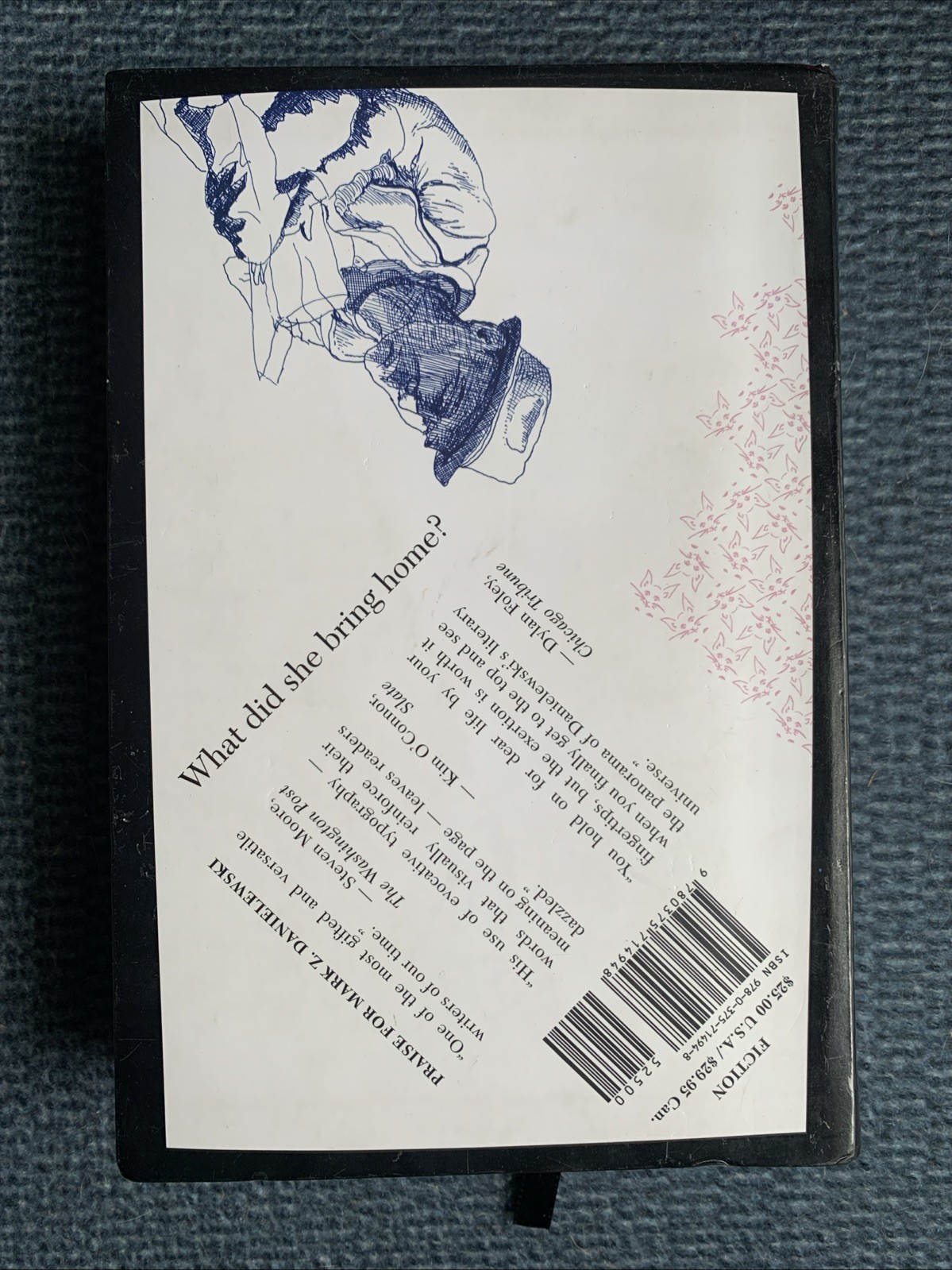 Familiar, Volume 1 : One Rainy Day in May by Mark Z. Danielewski [2015, Trade PB