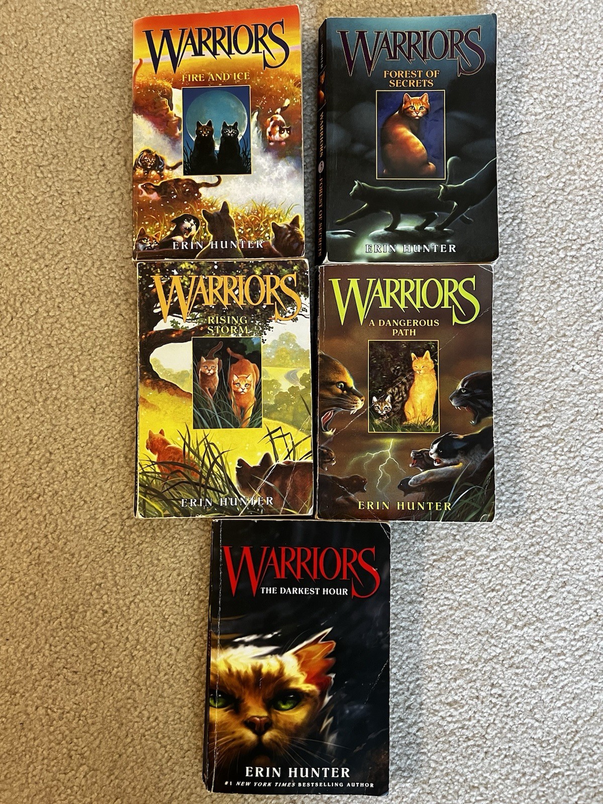 Warriors: The Prophecies Begin Books 2-6 by Erin Hunter Incomplete set lot