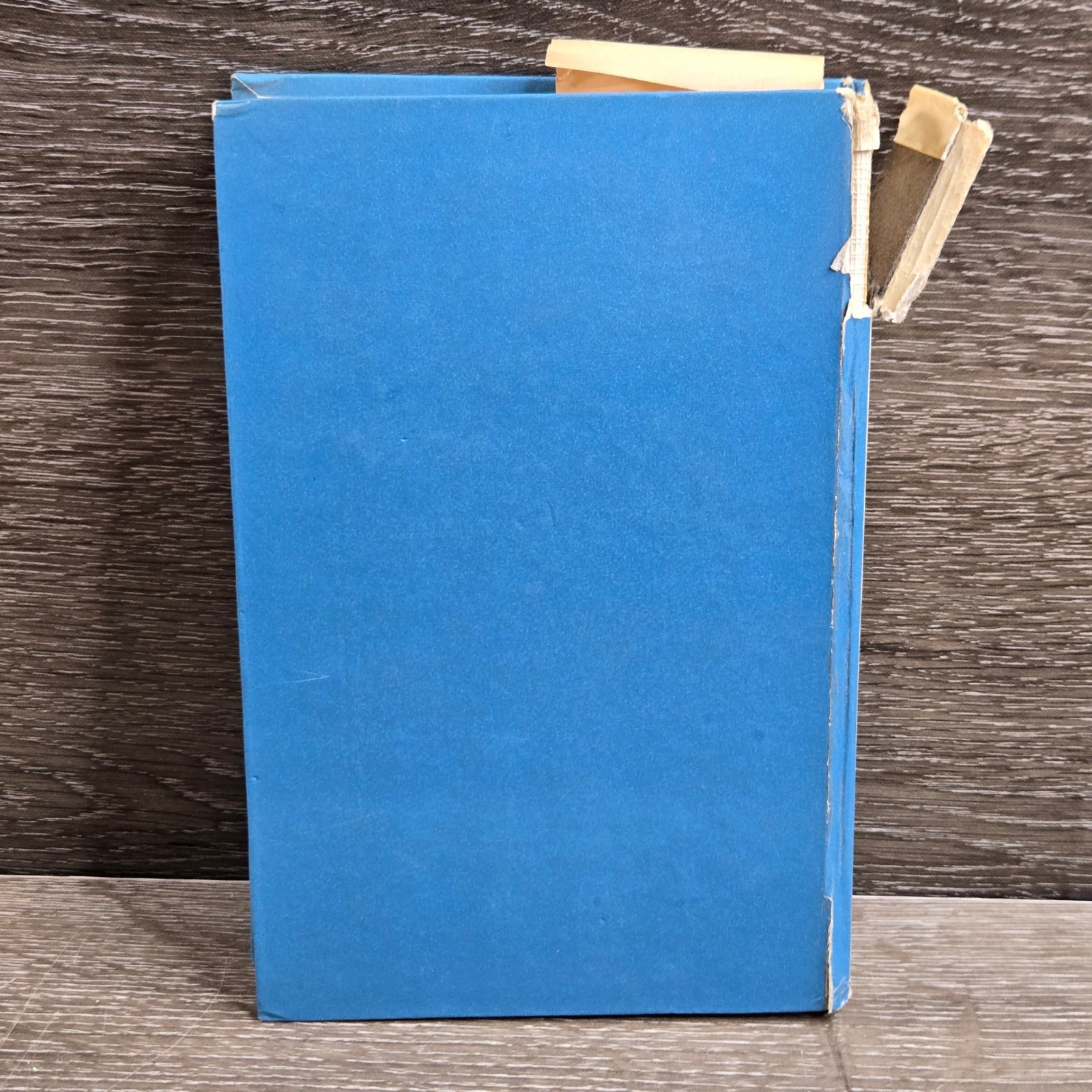 British Horse Society Manual of Horsemanship Book Blue Equestrian Guide Vintage