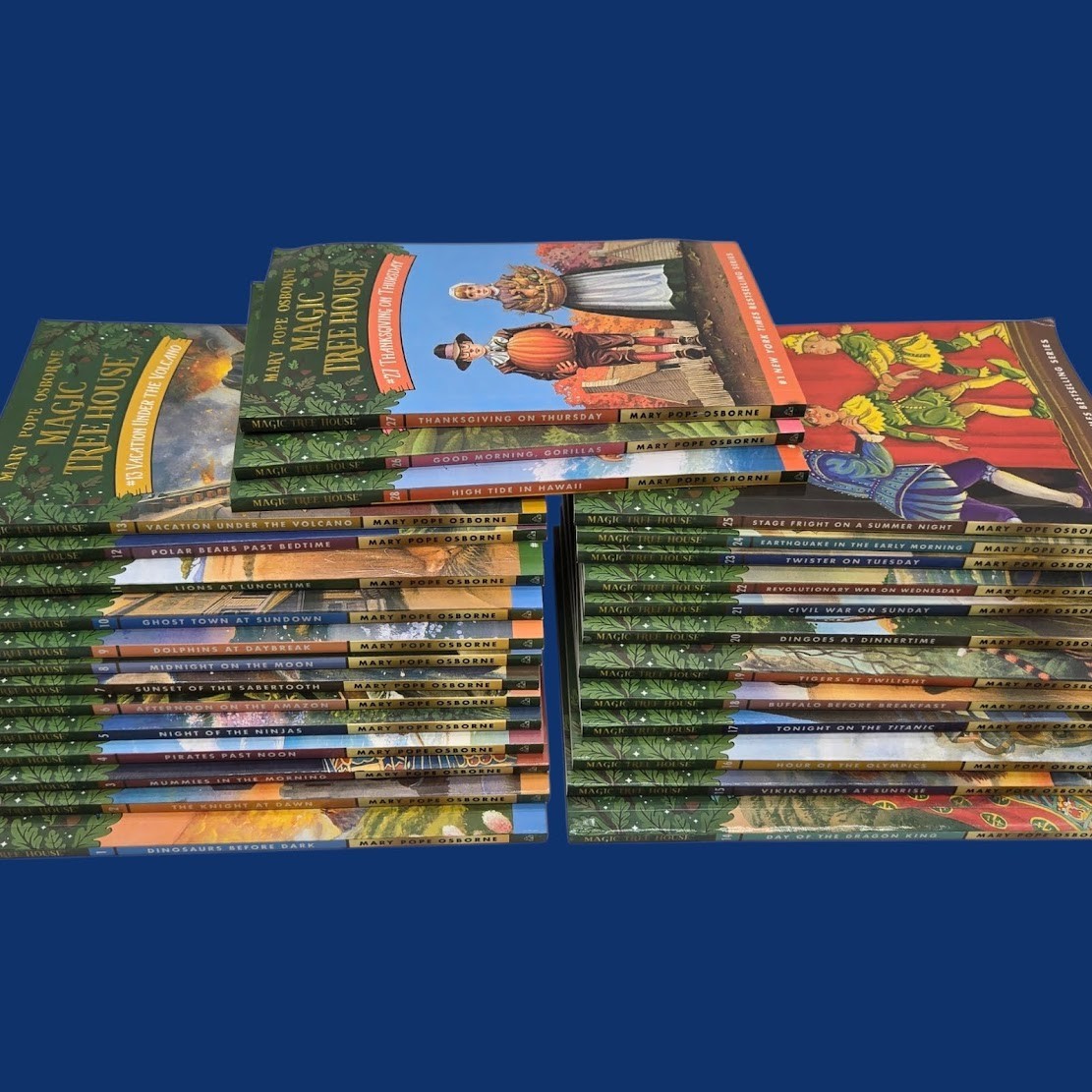 Set 4A: Magic Tree House A Library of Books 1-28 – Mary Pope Osborne Collection
