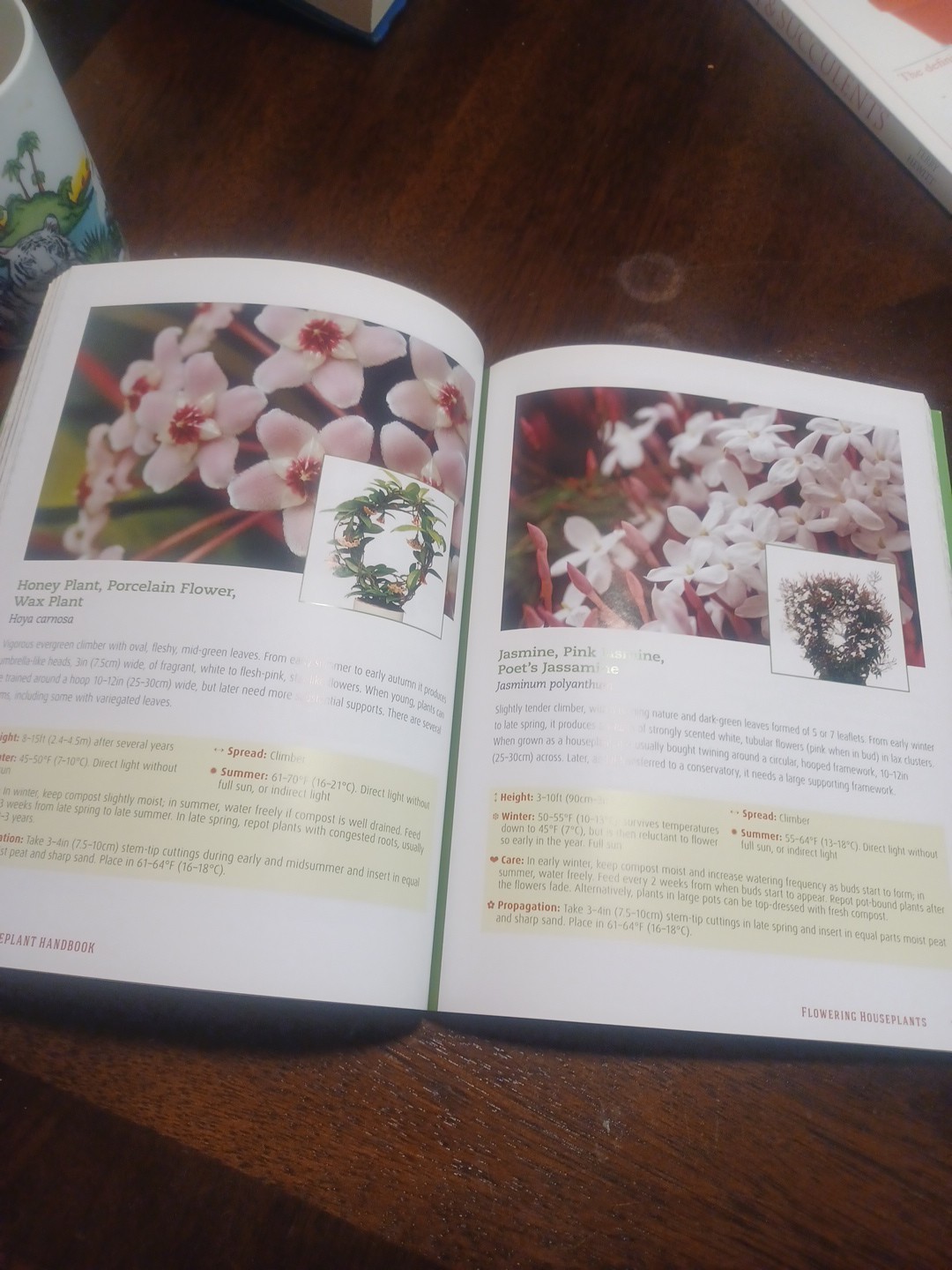 Houseplant Handbook: Basic Growing Techniques and a Directory of 300 Everyda…