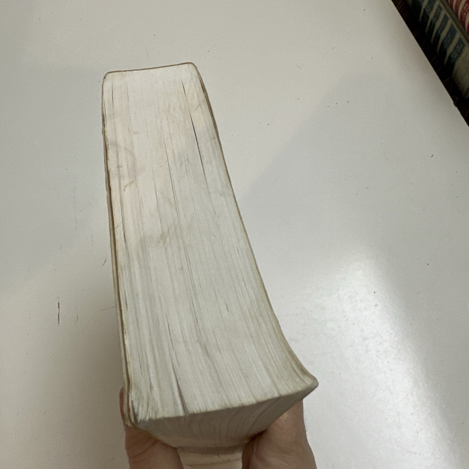 📖The Teen Study Bible (Please Read Description) 📖