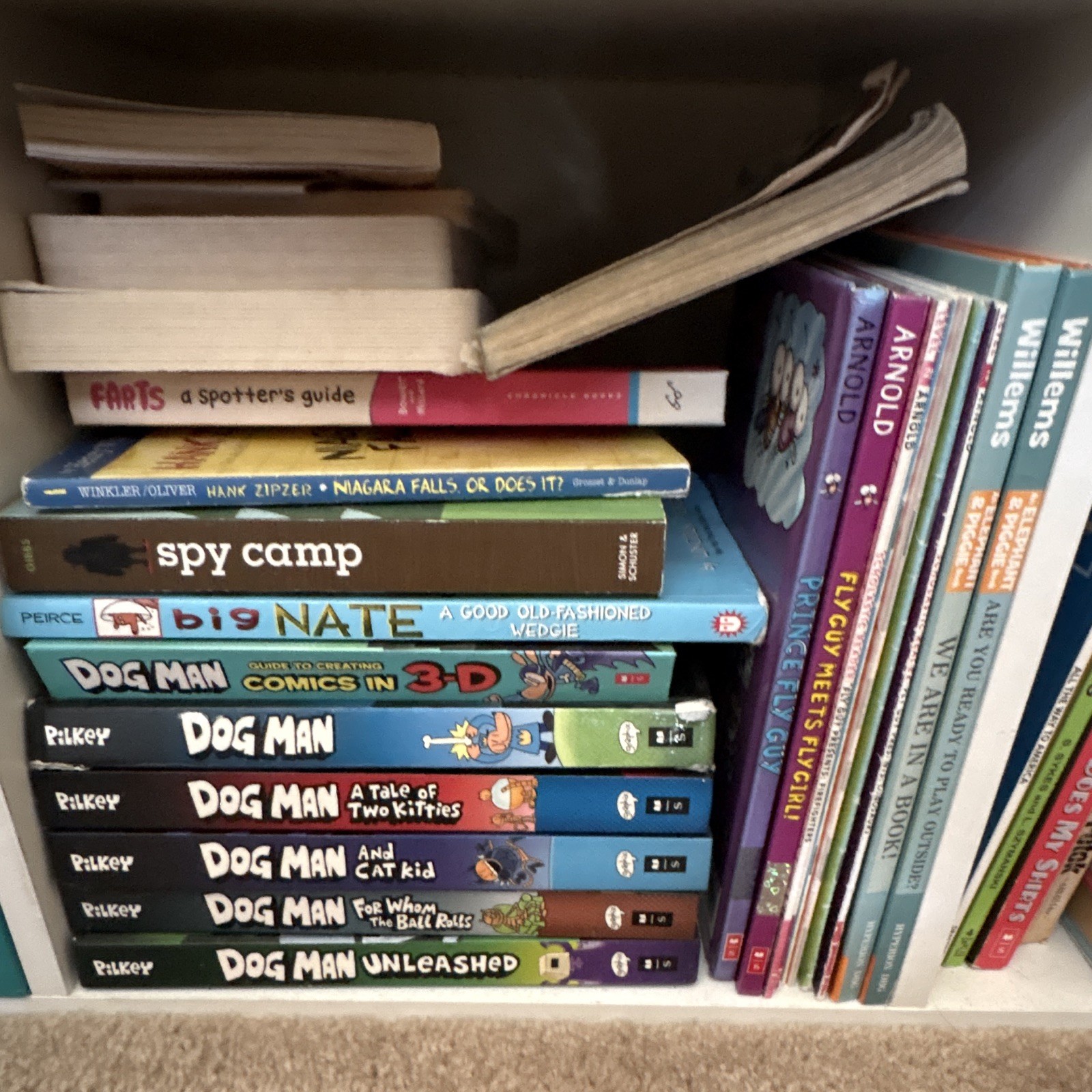 RANDOM BOOK LOT (see description)