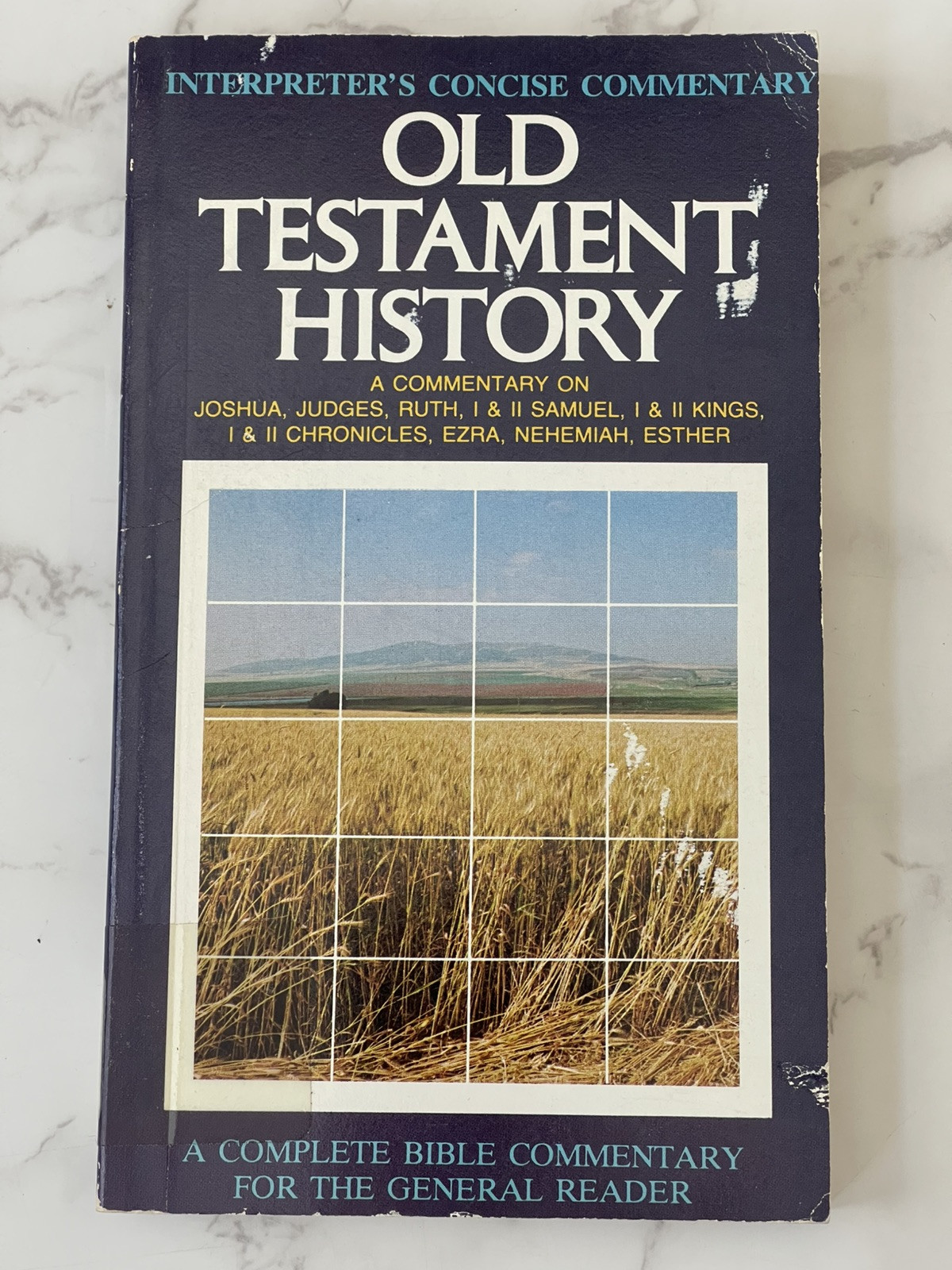 Lot of 4 ICC Interpreters Concise Commentary Books Pentateuch OT History Poetry