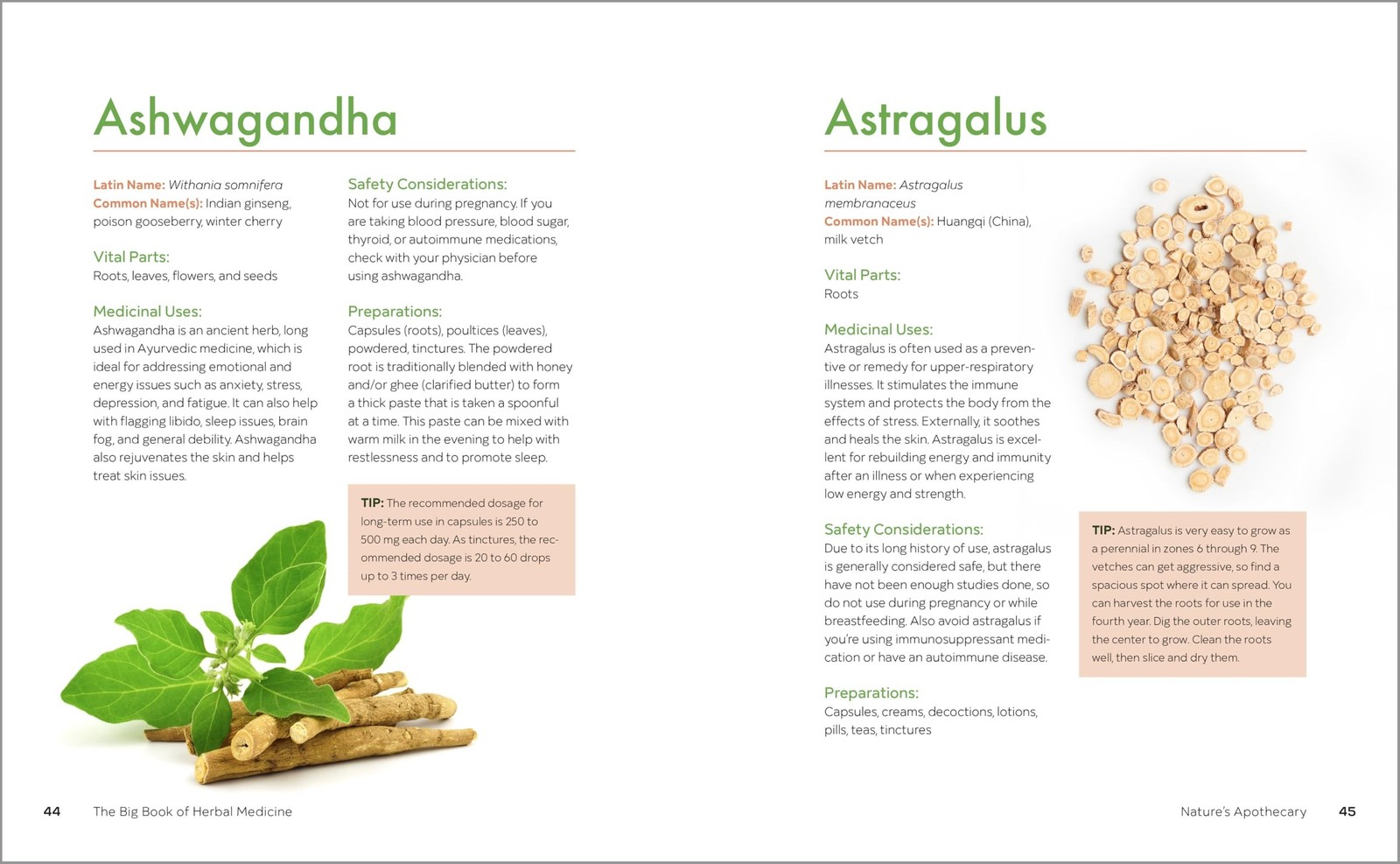 Herbal Medicine Big Book 300 Natural Remedies for Health and Wellness Guide NEW