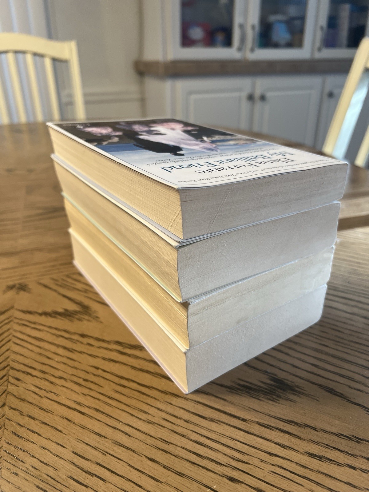 Neapolitan Novels 1-4 FULL SET, by Elena Ferrante Europa Editions