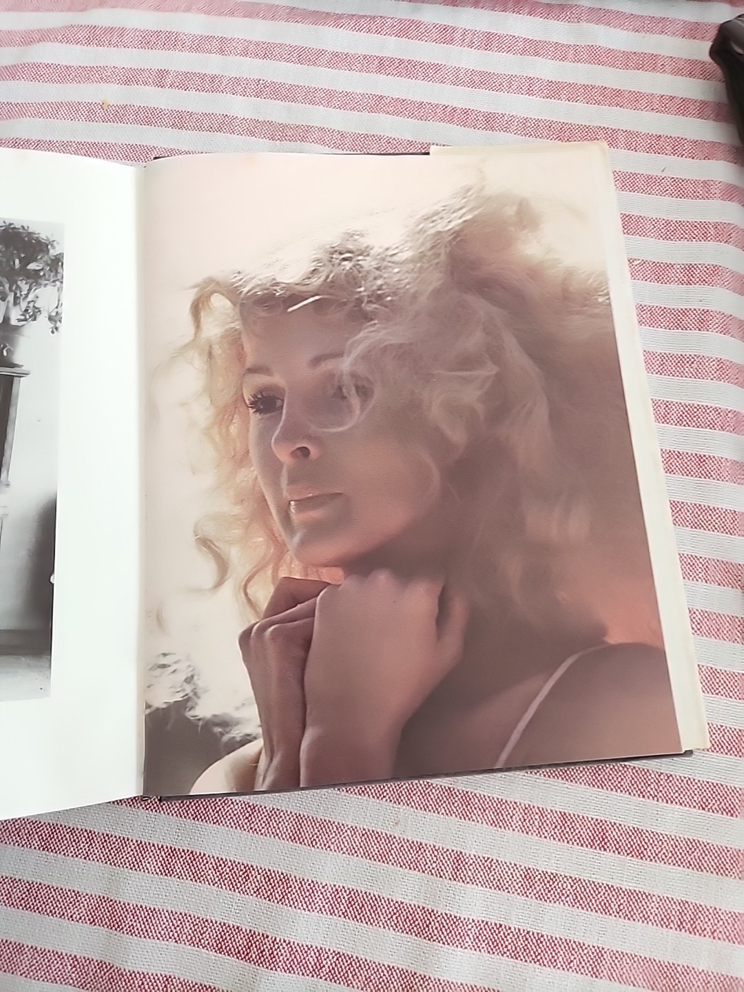 Of Women and Their Elegance by Norman Mailer (1980, Hardcover)