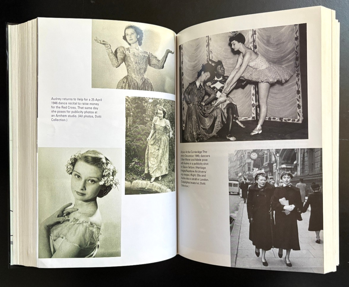 DUTCH GIRL: AUDREY HEPBURN & WORLD WAR II by ROBERT MATZEN (Hardcover 2019)