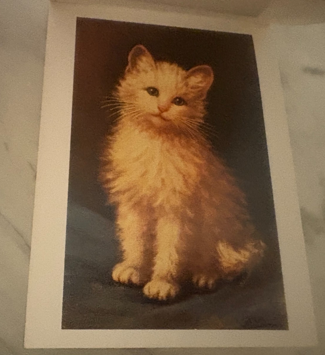 Victorian Cats: A Postcard Book Stationery By Running Press 1992 ~30 Post Cards