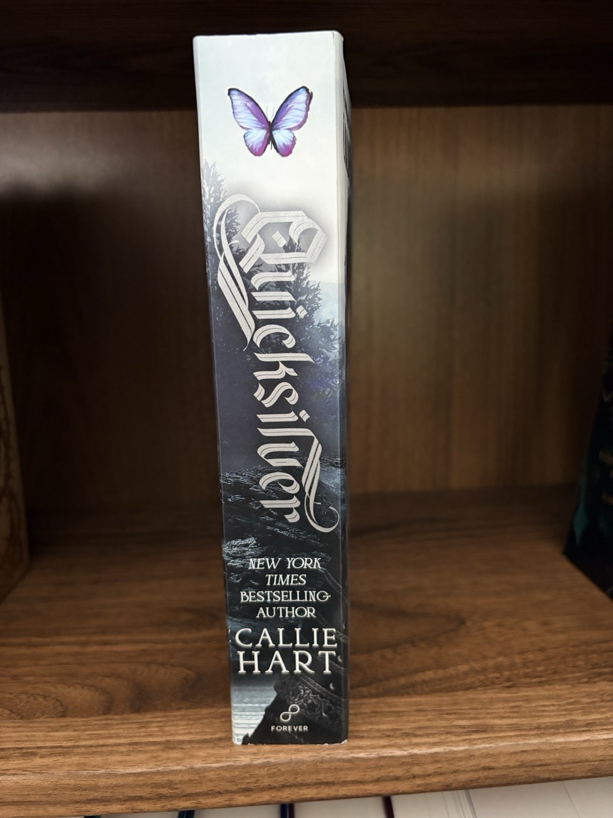 Quicksilver by Callie Hart (2024 Trade Paperback) Original Cover
