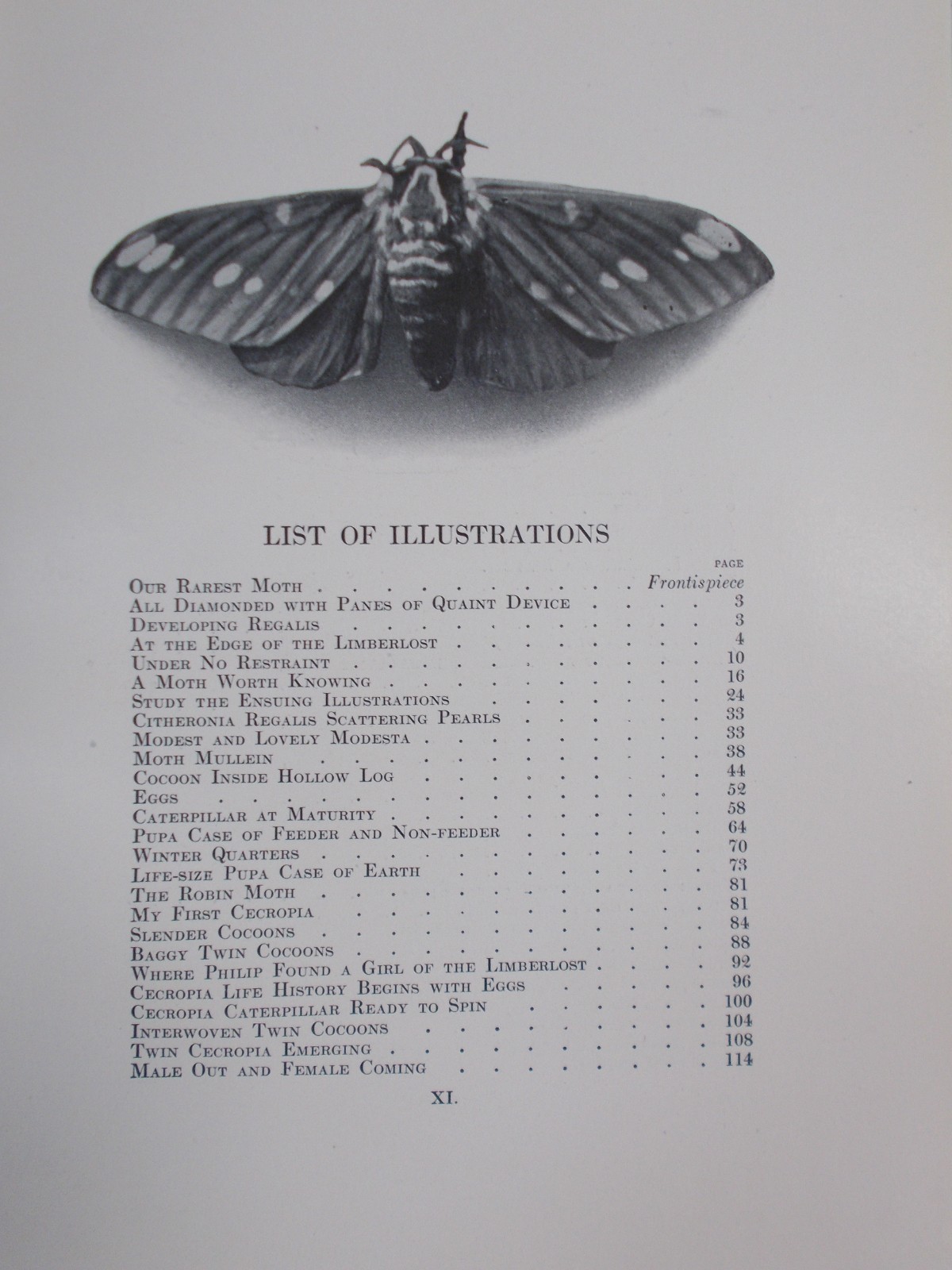 Antique-Moths of the Limberlost by Gene Stratton-Porter, 1921, VGC