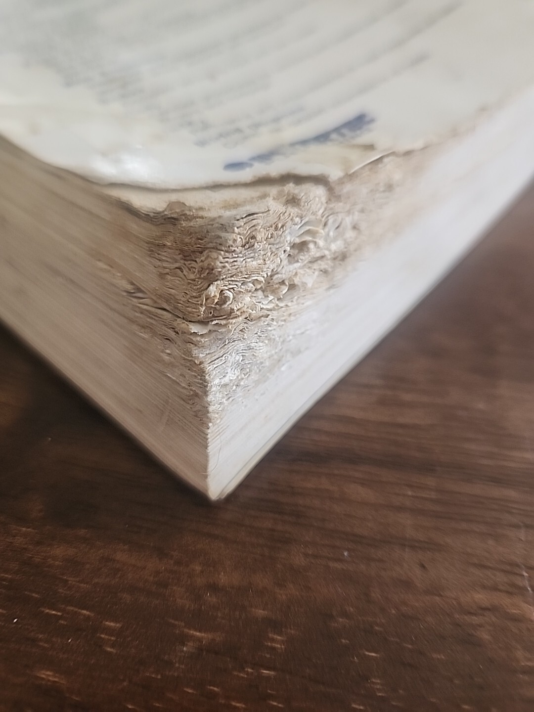 YAHAMA Warrior 1987-1995 Service Repair Maintenance Clymer Manual M487