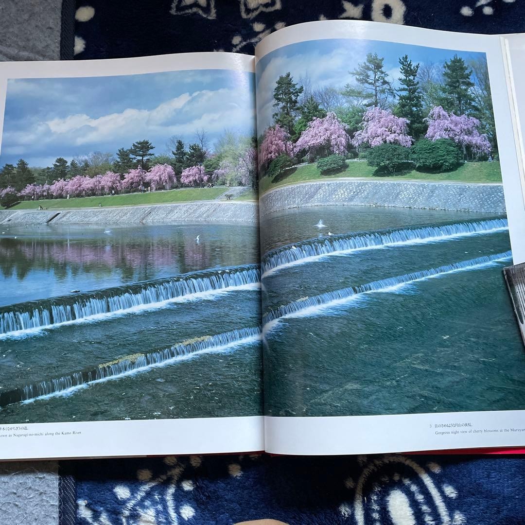 Japanese Cherry Blossoms Hardcover Book | Wide版 152 pages 7.4 x 10.3 in