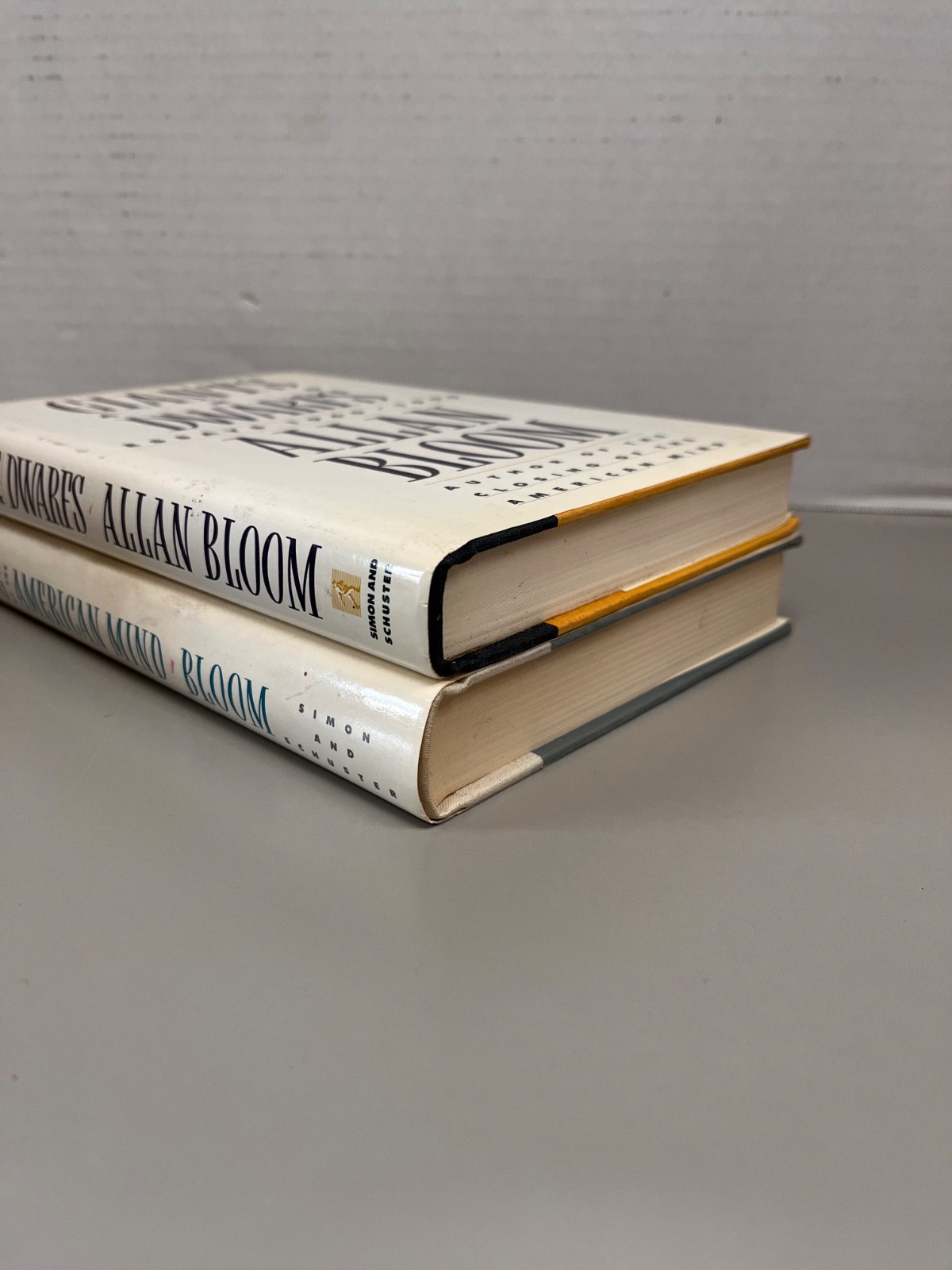 Allan Bloom Lot of 2 Books Hardcover (See Photos for Titles)