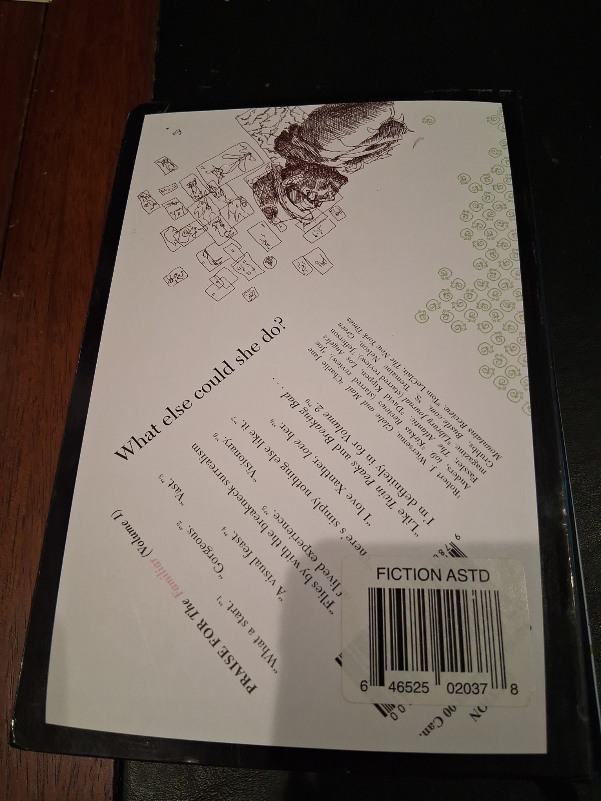 The Familiar Volume 2 Into The Forest Mark Z Danielewski Very Good