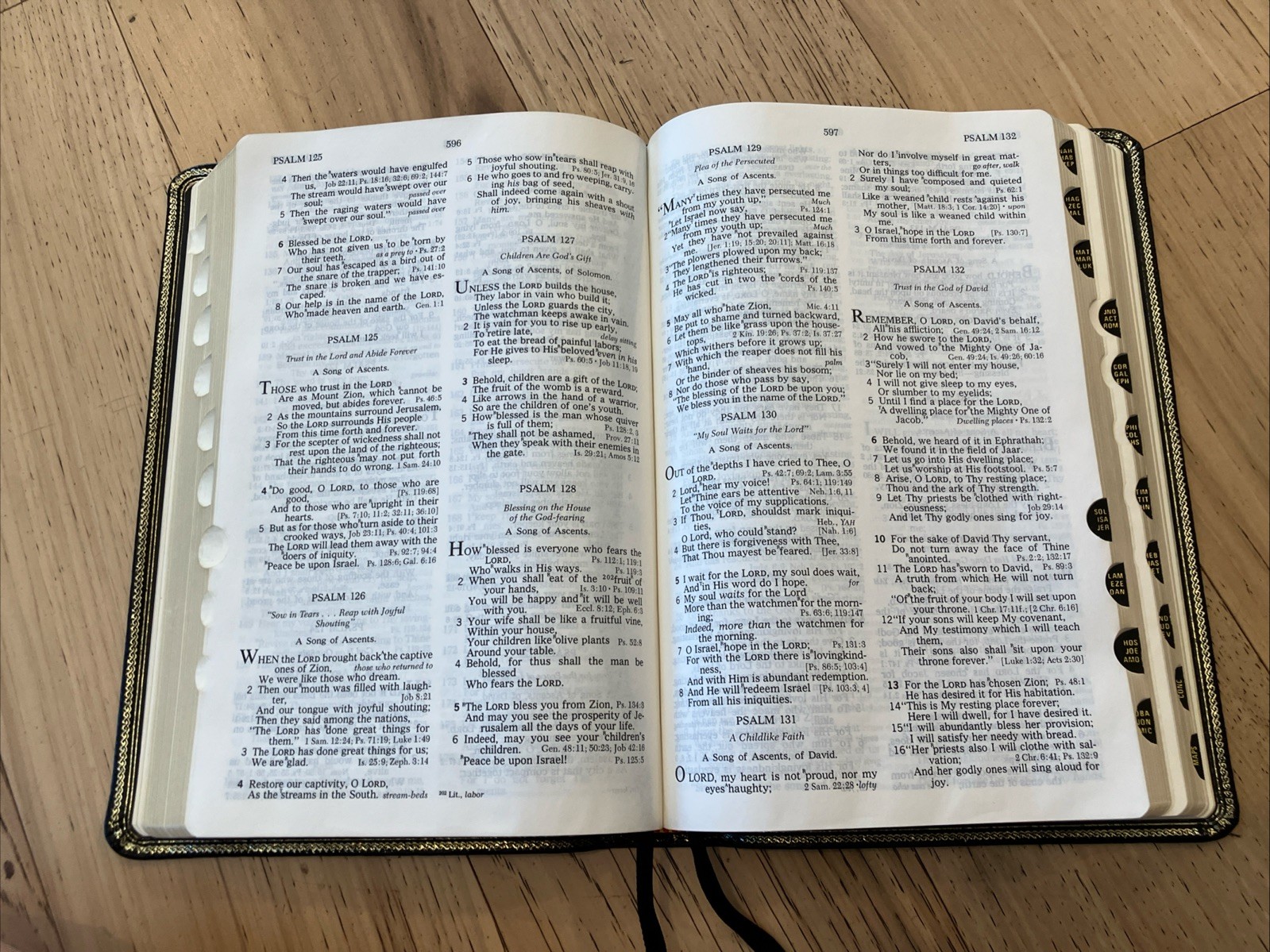 Nelson Open Bible Expanded NASB Genuine Leather 1985 Indexed Unmarked 976
