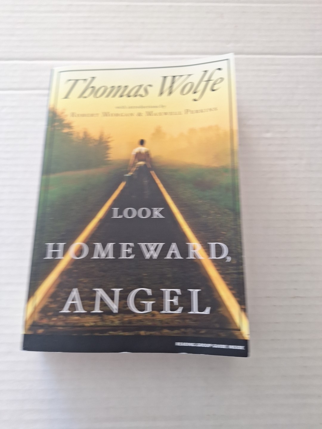 Look Homeward, Angel