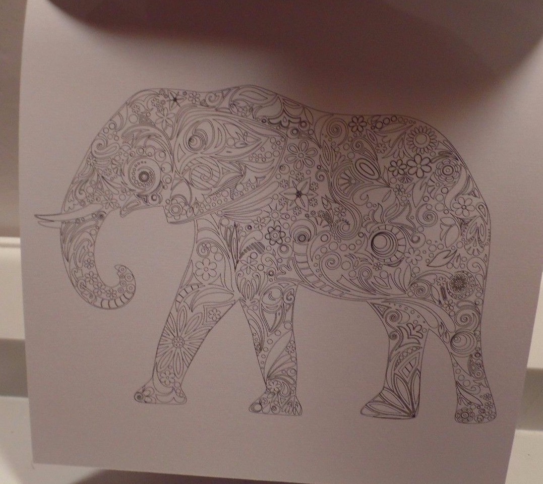 NEW Vive le Color! Africa (Adult Coloring Book) : Color In; De-Stress (72 pages)