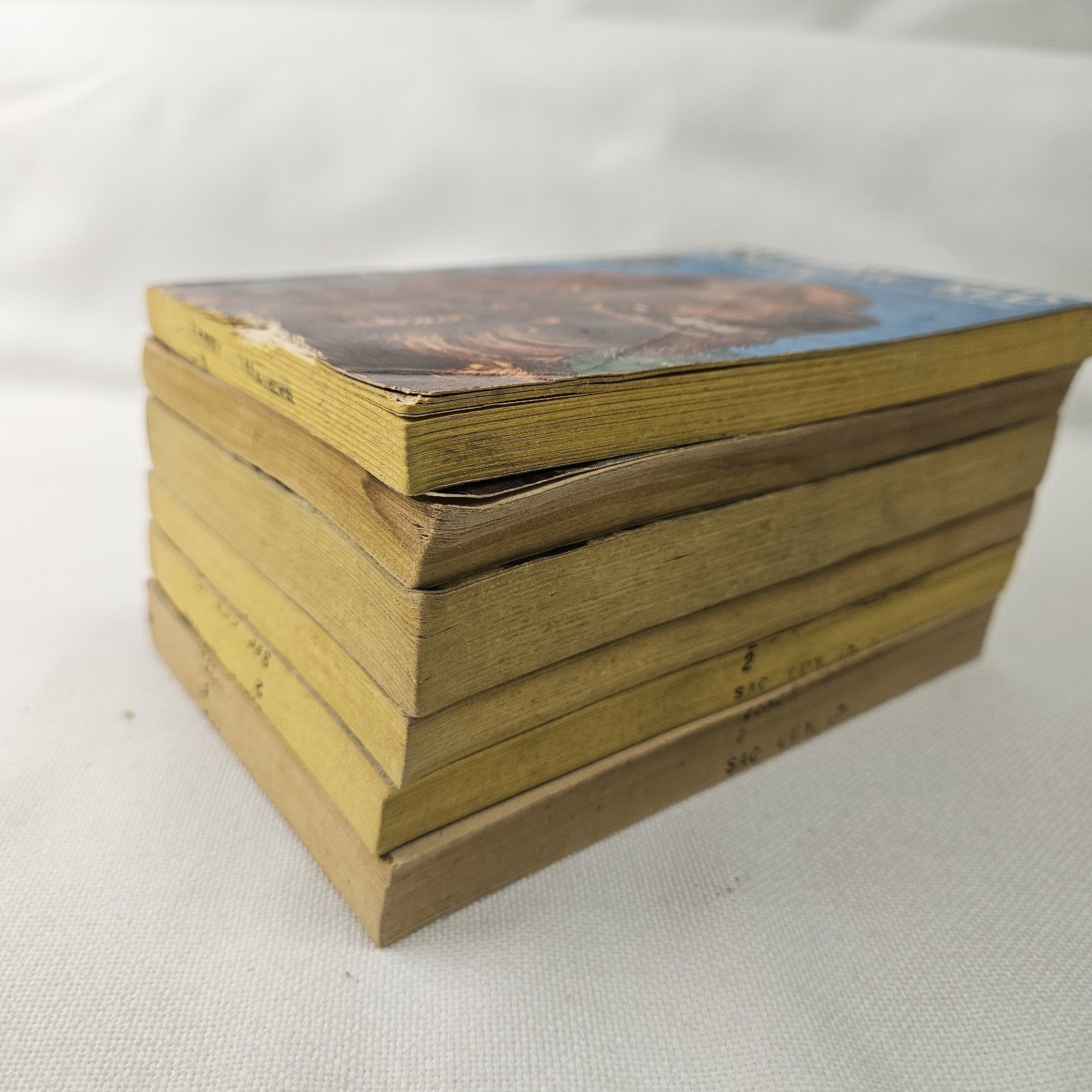 Vtg Scholastic TAB Books 1960s Softcover Mystery Horses Animal Dog Lot