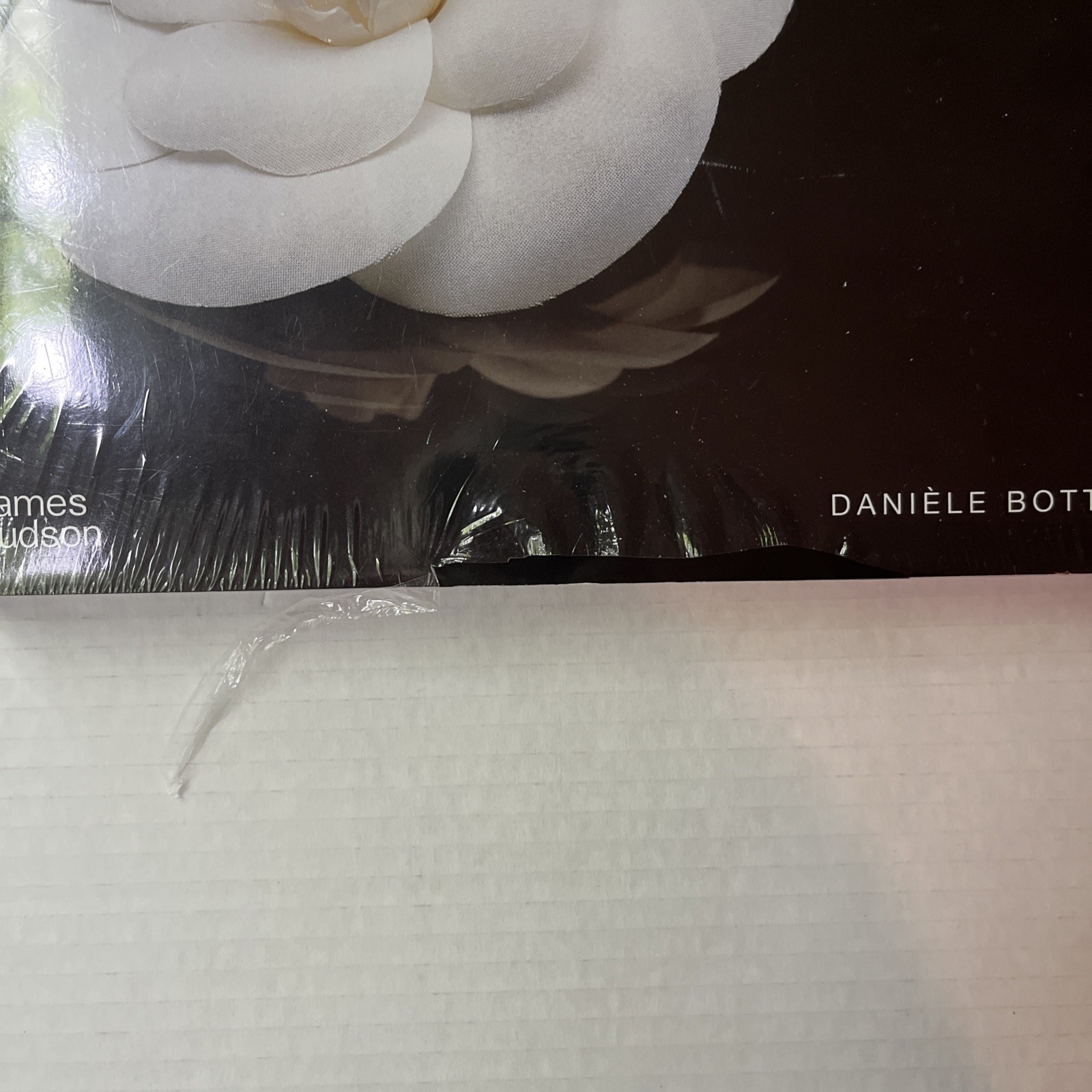 Chanel : Collections and Creations by Daniele Bott NEW Hardcover Book Sealed