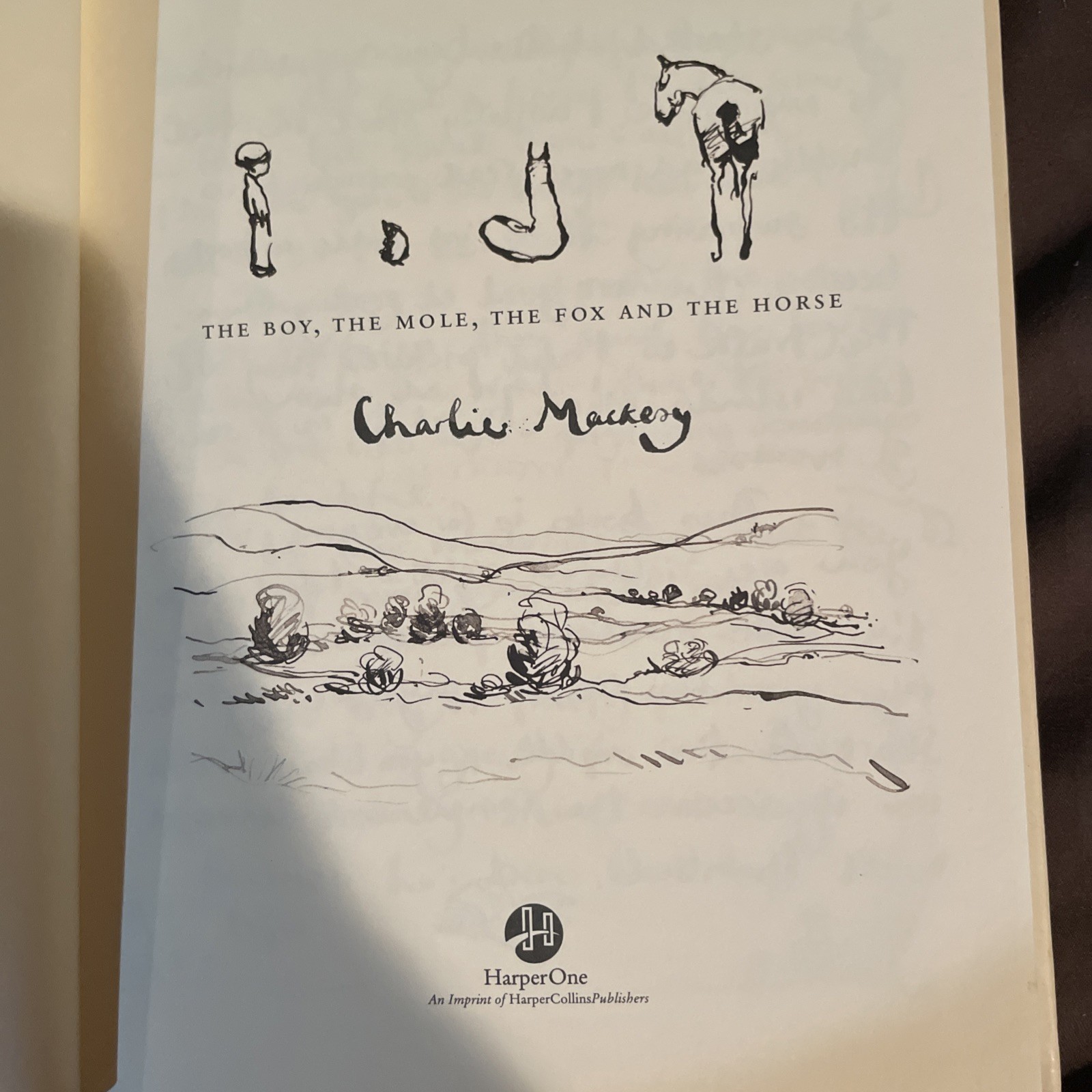 THE BOY, THE MOLE, THE FOX, AND THE HORSE by Charlie Mackesy. Hardcover Edition