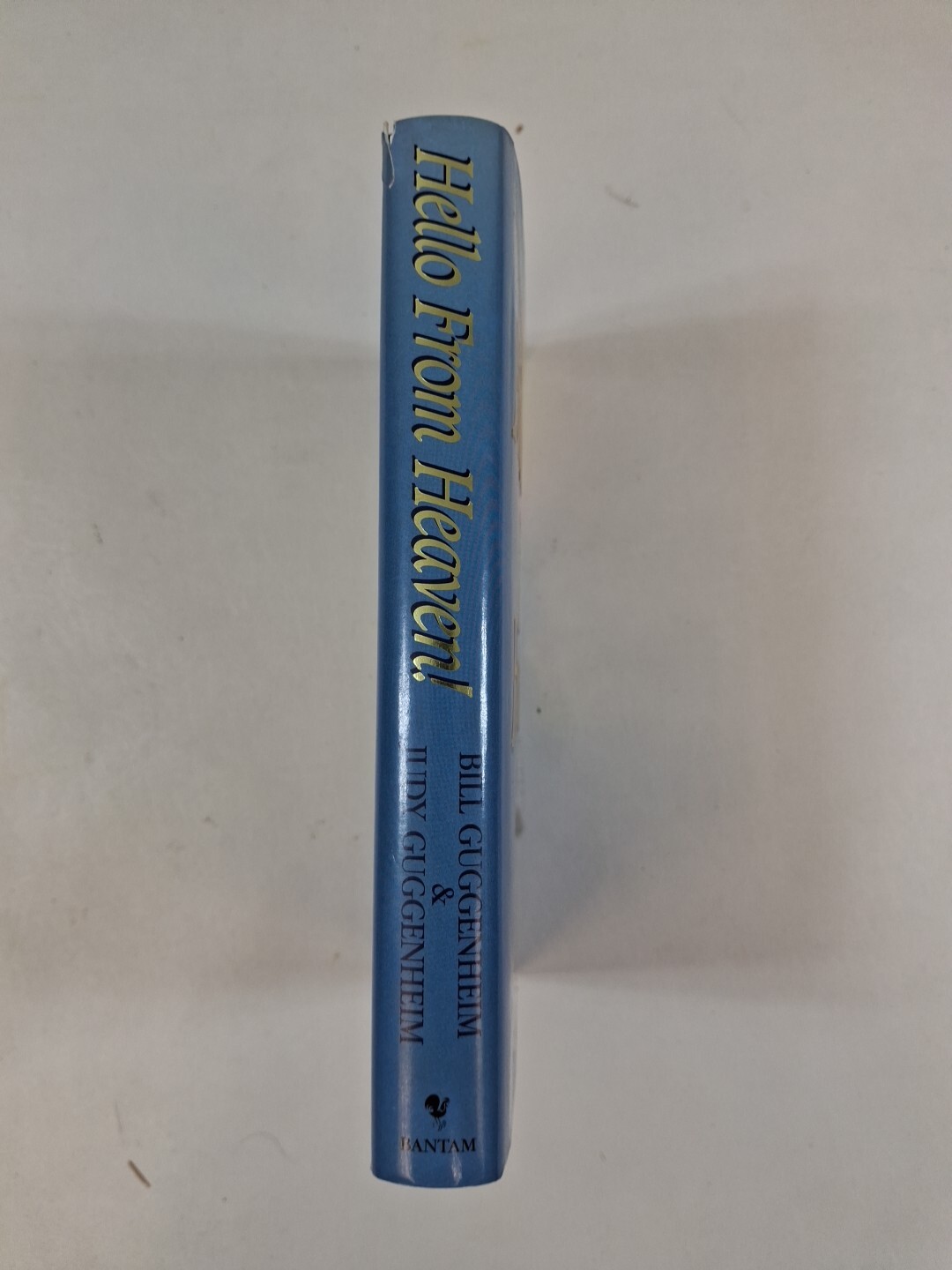 Hello from Heaven! – Bill & Judy Guggenheim (Hardcover, 1996, Dust Jacket)