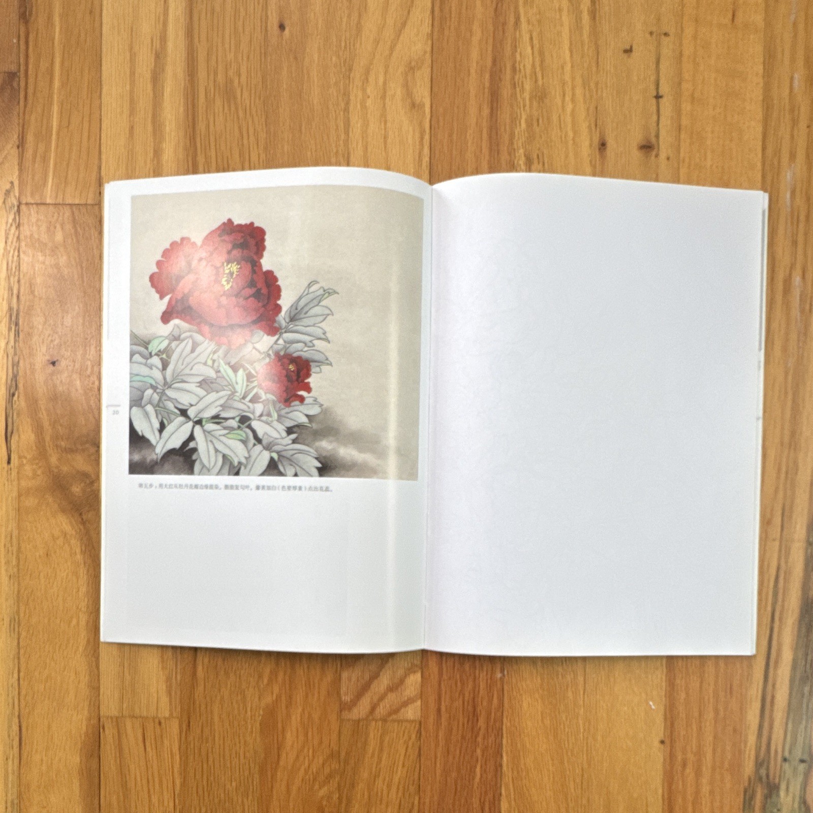 初学者之友 工笔牡丹 Chinese Art Book Peony Painting Reference Paperback