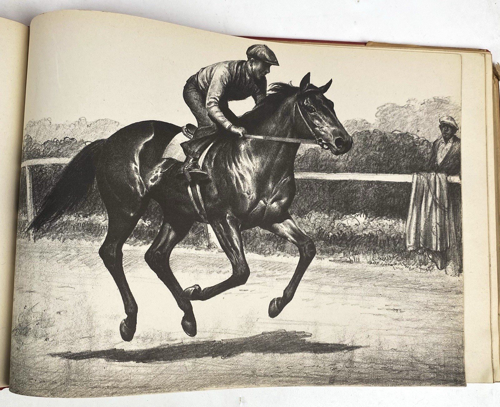 Black, Bay and Chestnut: Profiles of Twenty-Favorite Horses by C.W Anderson 1939