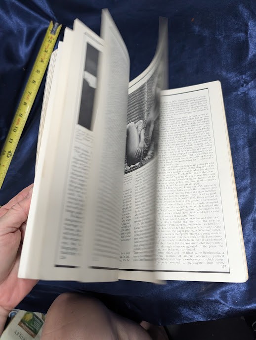 Rock ’n‘ Roll Babylon Gary Herman Paperback Music History Book