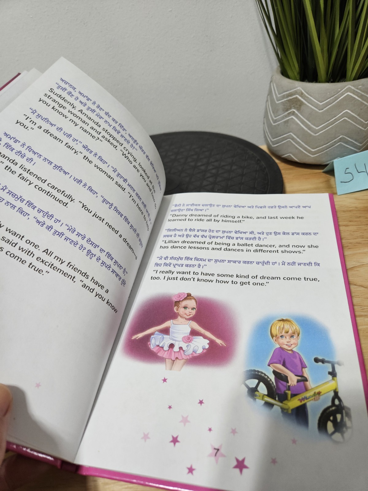 Amanda’s Dream (Punjabi English Bilingual Kids‘ Book – Gurmukhi) Hardcover