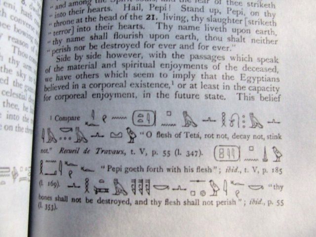 Egyptian Book of the Dead : The Complete Papyrus of Ani by E.A. Wallis Budge PB