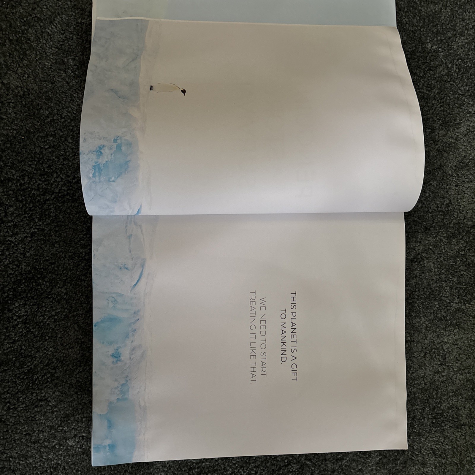 Penguin: A Story of Survival by Stefan Christmann Hardback Book The Fast Free
