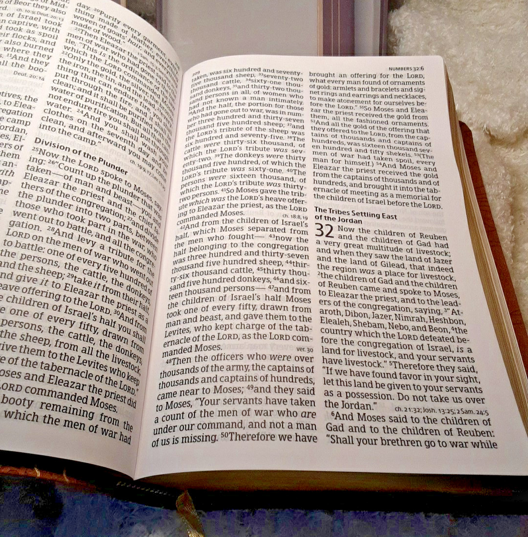 NKJV Bible Large Print Personal Reference Designer Series Natural Faith NIB