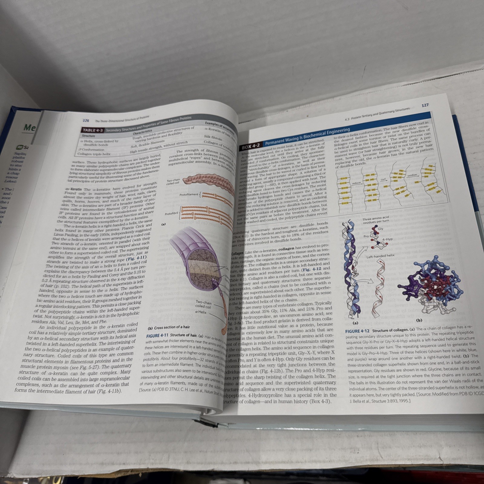 Lehninger Principles of Biochemistry Nelson Cox 2017 Seventh Ed First Printing