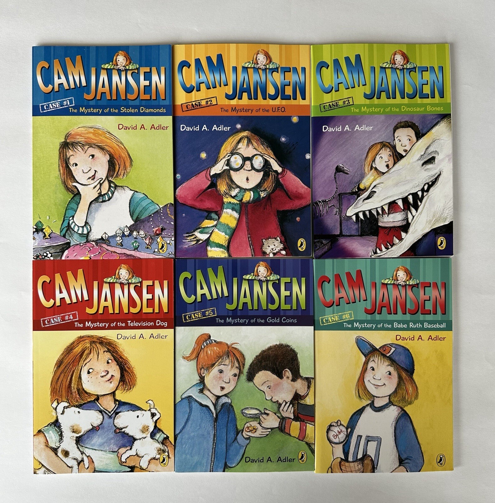 Cam Jansen Children’s Mystery Books Set by David Adler Lot 34