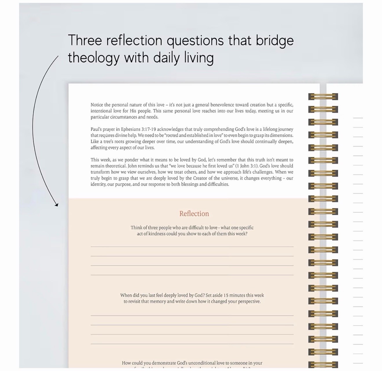 Official Spiral Bible® The Bible in a Year | 52 Week Guided Bible Study – NEW